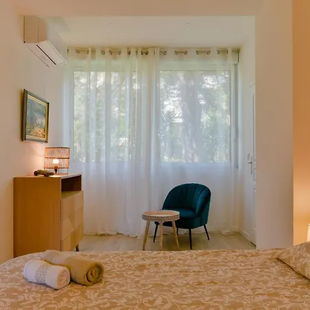 Refait A Neuf, Proche Et Centre Ville- Ajaccio-parc Berthaut Apartment *